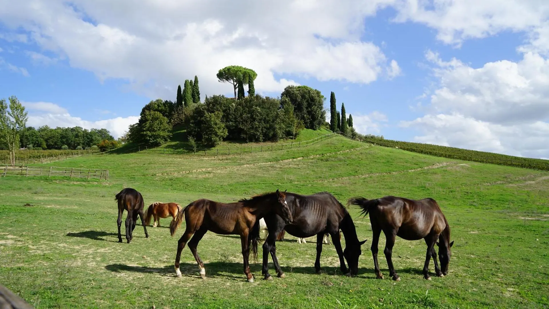 Mormoraia Villa San Gimignano 0*,